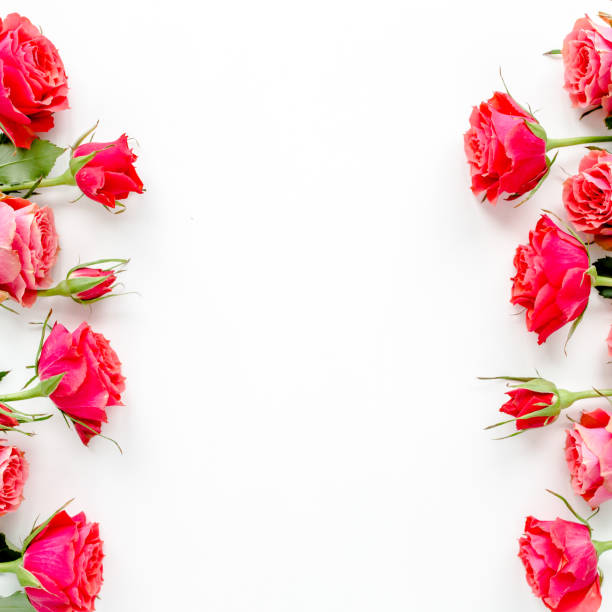 istock Flower border frame made of red roses on white background with copy space for text. Valentine's background. Floral pattern. Flat lay, top view 1277441942