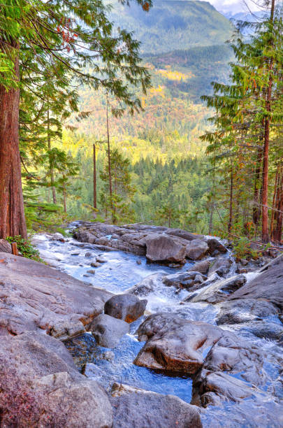 Silver Falls trail is one of the most popular and beautiful trails in Mt Rainier NP.Silver Falls trail is one of the most popular and beautiful trails in Mt Rainier NP.