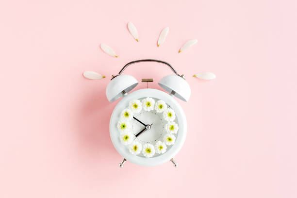 istock Composition-summer time from clock and chamomile flowers on pink background. Flat lay, top view 1277444009