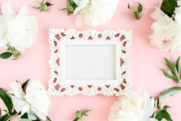 Frame of white peony flowers with space for text on pink background. Peony texture. Flat lay, top view