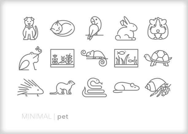 Pet animal icons Line icon set of family and house pet animals hermit crab stock illustrations