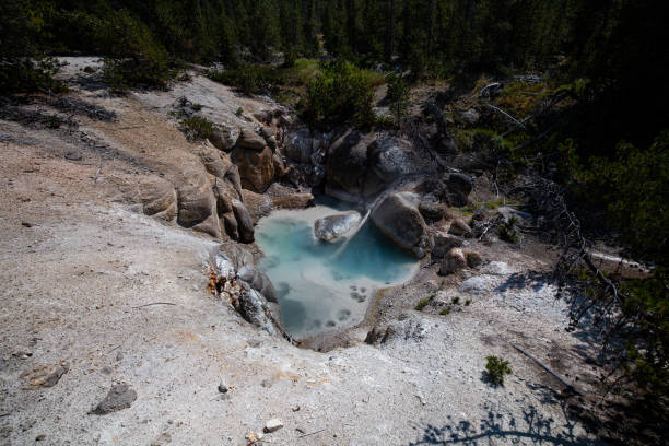 istock Lower Geyser Basin, Yellowstone National Park 1277448939