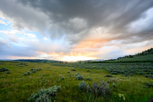 istock Afternoon Light Fades into Sunset in Yellowstone 1277450175