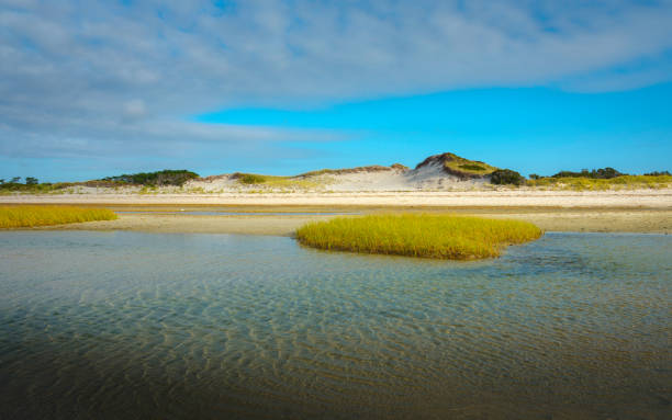 Cloudy seascape with sand dunes and sea grass at low tide at the Mayflower Beach on Cape Cod