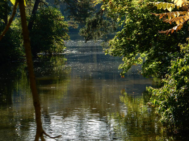 istock early autumn on the lake 1277453378