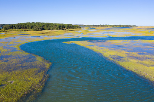 A narrow channel winds through a salt marsh on Cape Cod, Massachusetts. Salt marshes provide calm nesting, feeding and breeding habitat for a variety of birds, fish, and marine invertebrates.