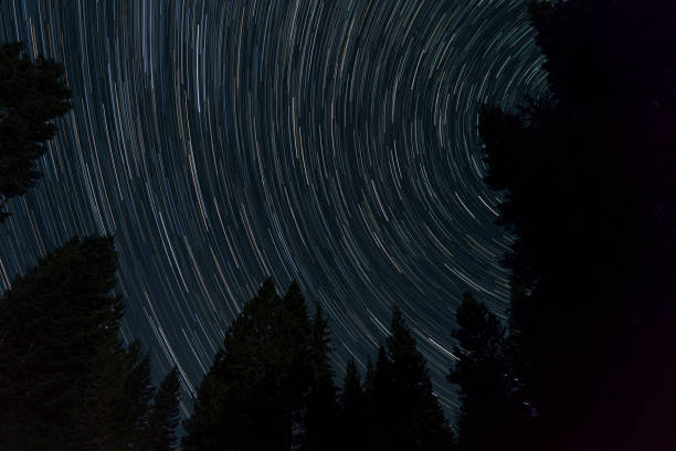 istock Star trails over evergreen fir trees in Washington 1277453516