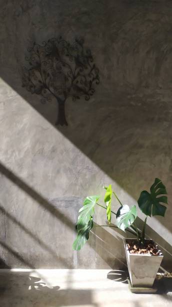 istock sunlight overlay palm tree. shadows of window on a grey wall. Abstract neutral nature concept background. Loft space empty room with nature view. 1277453906