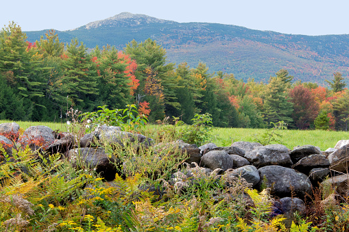 Scenic view of colorful autumn foliage, old stone wall, and rocky summit of Mount Monadnock from country road in Jaffrey, New Hampshire.