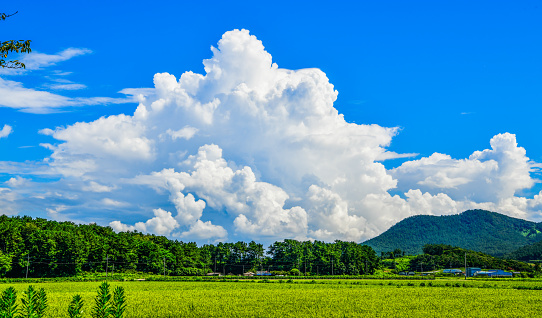 White clouds floating in the blue sky on a hot summer day