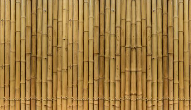 istock Bamboo cut into strips, beautifully arranged in a natural way. 1277461148