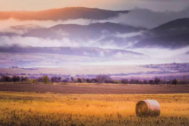 Photo of Rolling landscape: Field of hay bales, Harvest at sunset and misty Balkans mountains, Bulgaria