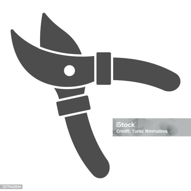 Garden Shears Solid Icon Garden And Gardening Concept Secateurs Sign On White Background Gardening Scissors Icon In Glyph Style For Mobile Concept And Web Design Vector Graphics - Arte vetorial de stock e mais imagens de Símbolo de ícone