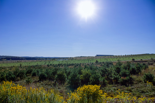 A wide shot of the sun shining over the field that flight 93 crashed in on 9/11