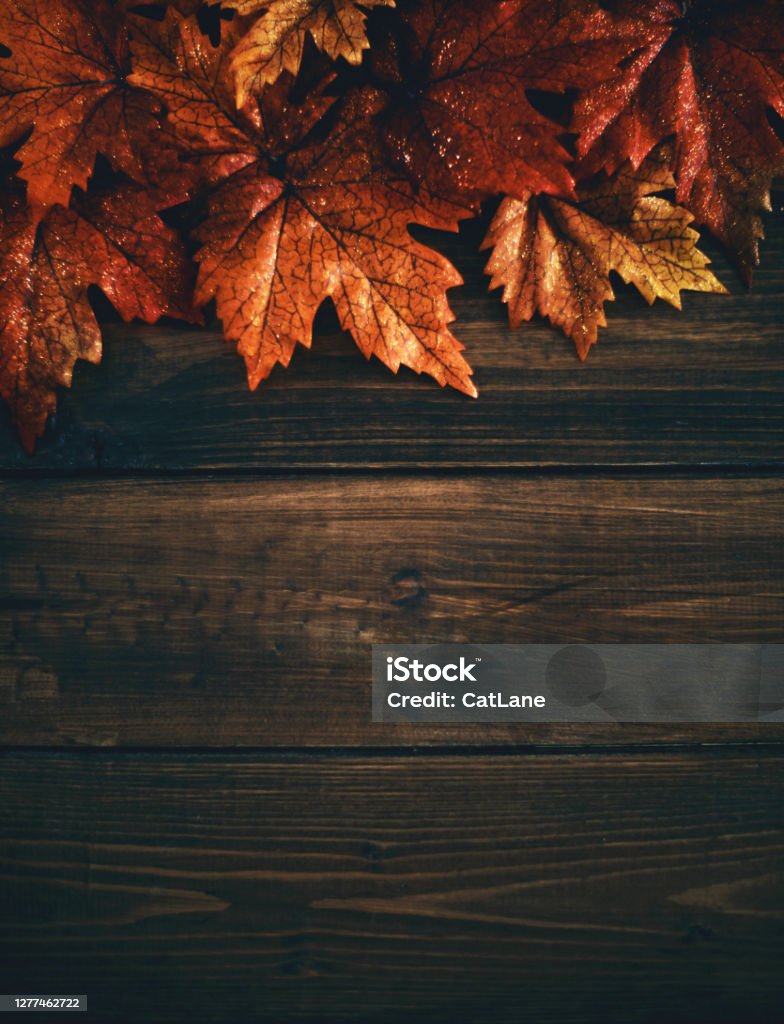 Fall Type Background Fall Leaf Background On Rustic Wood Stock Photo - Download Image Now ...