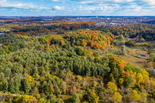istock William Granger Greenway at Boyd Conservation Park in fall, Woodbridge, Vaughan, Canada 1277467314
