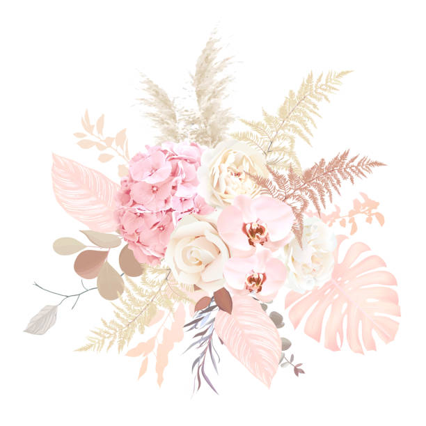 luksusowy beżowy modny wektorowy wzór kwiatowy bukiet - cut flowers white tropical climate nature stock illustrations