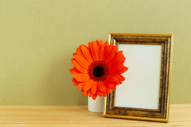 木製のテーブルにオレンジ色のガーベラの花とフォトフレーム。ホームインテリア。コピースペース - flower sparse single flower gerbera daisy ストックフォトと画像