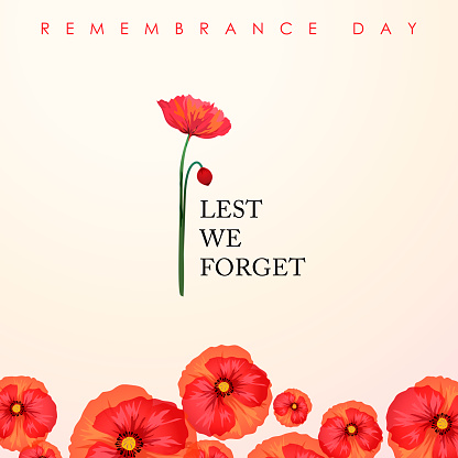 The ceremony of Remembrance Day that honors all military heroes who died in the First World War for the Commonwealth member states, the red poppy is a symbol of remembrance and hope for peaceful world