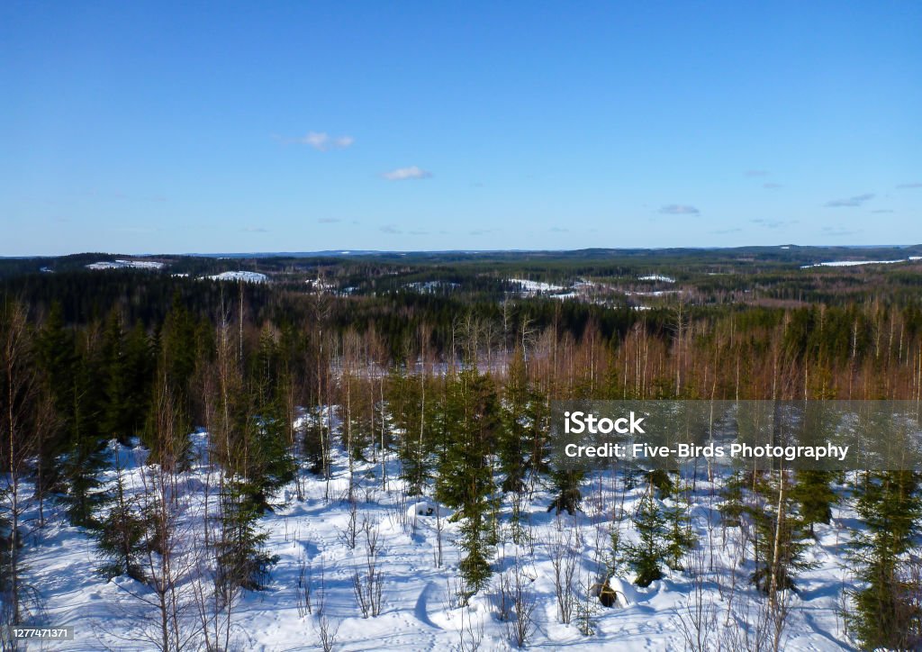Picture of a typical winter landscape in central Finland near the town of Jämsä Picture of a typical winter landscape in central Finland near the town of Jämsä during winter Color Image Stock Photo