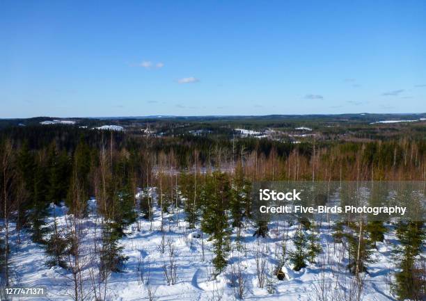 Picture Of A Typical Winter Landscape In Central Finland Near The Town Of Jämsä Stock Photo - Download Image Now