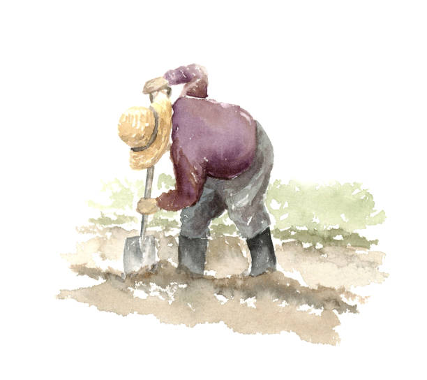 illustrations, cliparts, dessins animés et icônes de illustration d’aquarelle d’une personne cultivant des champs. - agriculture farm people plow