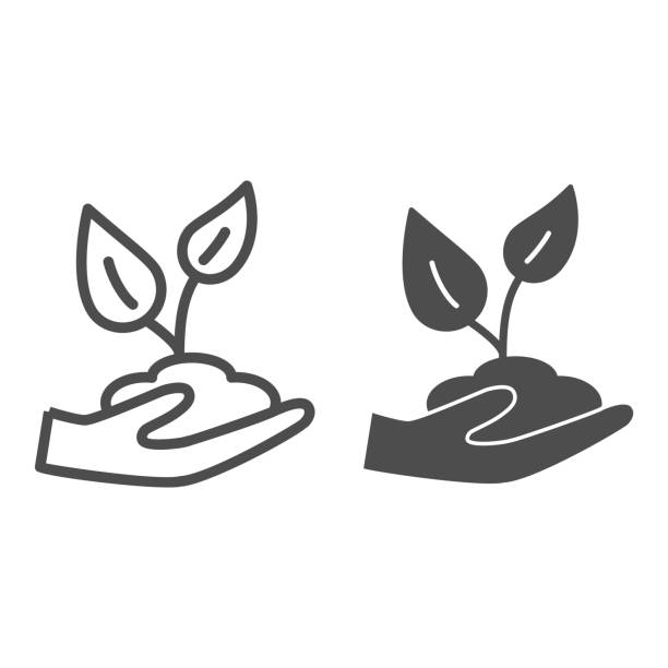 ilustrações de stock, clip art, desenhos animados e ícones de hand holding soil with plant line and solid icon, garden and gardening concept, seedling sign on white background, young plant in soil in caring hand icon in outline style for mobile. vector graphics. - semente ilustrações