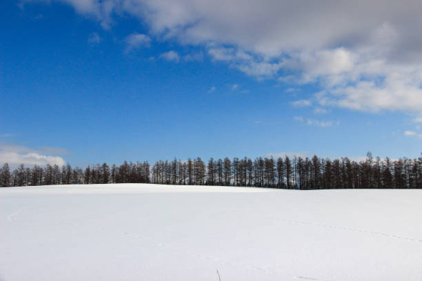 istock Snowfields and Blue Skies in Winter 1277480535
