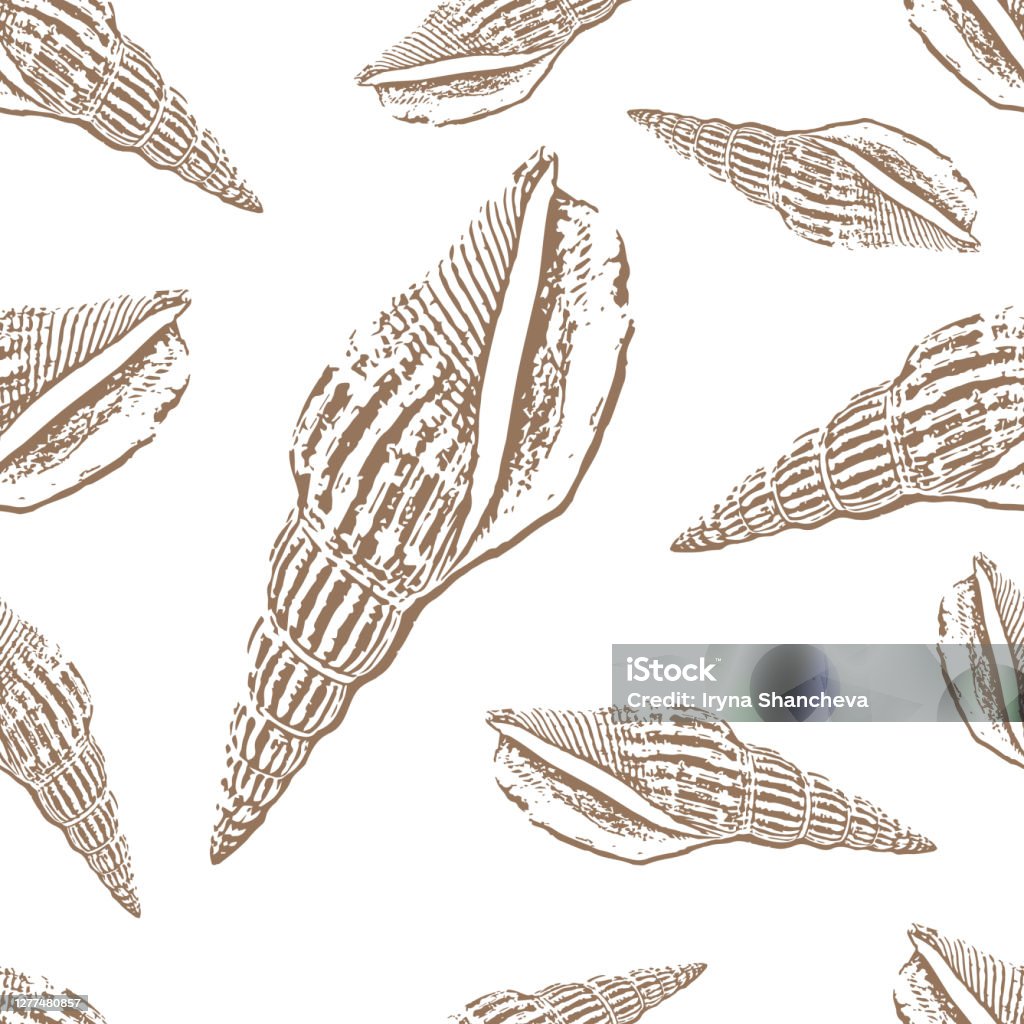 Shellfish Drawing/design Doodle Shellfish Seamless Pattern Isolated On White Hand Drawing Sketch ...