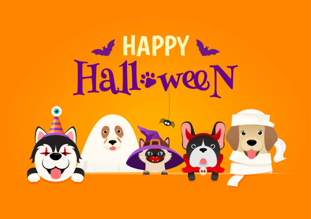 ilustraciones, imágenes clip art, dibujos animados e iconos de stock de ilustración de happy halloween greeting card vector. gato lindo y perros en traje de mascota de halloween sobre fondo naranja - witchs hat costume witch holidays and celebrations