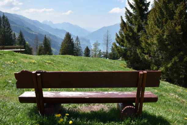 istock Empty bench on a hill in Flumserberg in Switzerland 17.5.2020 1277483929
