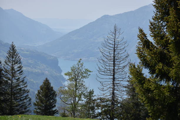 istock Switzerland and its breathtaking alpine scenery 17.5.2020 1277484883