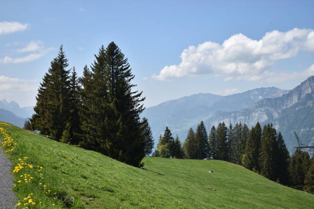istock Switzerland and its breathtaking alpine scenery 17.5.2020 1277484914