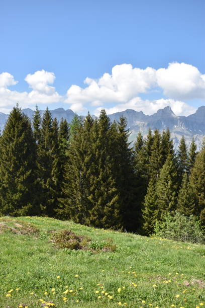 istock Switzerland and its breathtaking alpine scenery 17.5.2020 1277484931