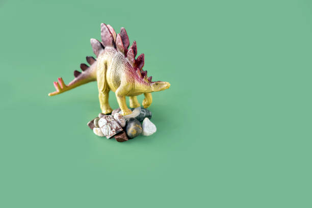 istock Stegosaurus dinosaurs toy on stones on green background 1277485357