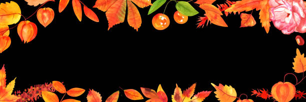 akwarelowe jesienne tło, panoramiczny baner z kopią przestrzeni, akwarelowe rysunki botaniczne liści i gałęzi - black background panoramas fall flowers stock illustrations