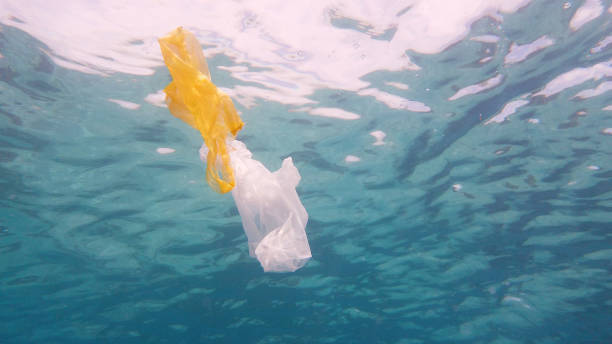 istock Plastic bag in the sea 1277488829