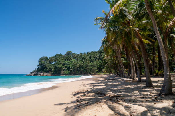 istock Tropical nature clean beach and white sand in summer with palm tree leaf sun light blue sky and bokeh abstract background. 1277490946