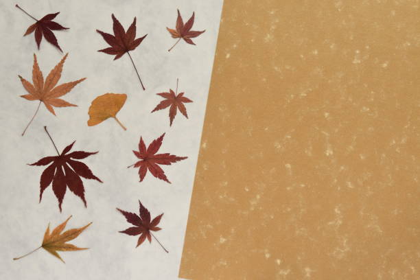 istock Autumn leaves on Japanese paper texture background. 1277492228
