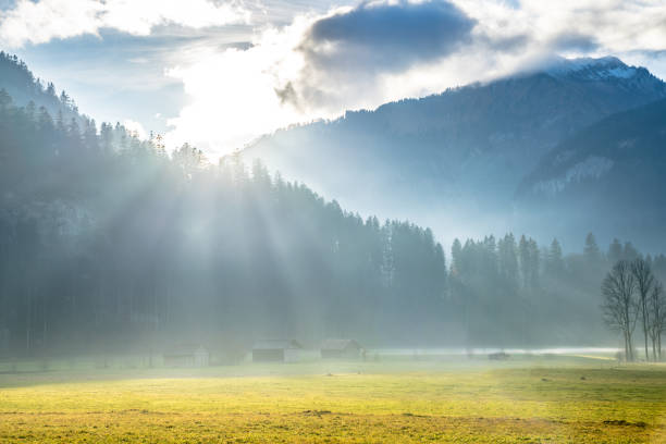 istock Sunrise in Alpine meadow 1277494485