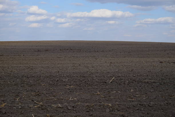 istock A plowed agricultural field. Blue sky over a farm field. 1277496247