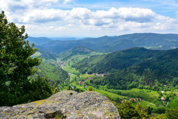 small meadow valley in the black forest. - black forest landscape germany forest imagens e fotografias de stock