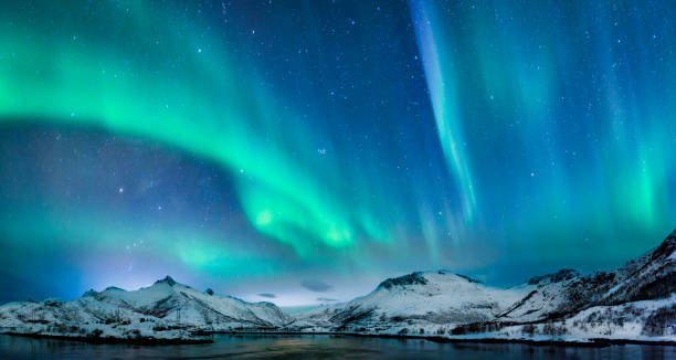 Photo of Aurora borealis over in the dark night sky over the snowy mountains in the Lofoten