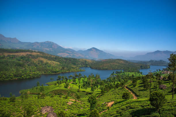 istock Town of Teas, Munnar, Kerala. 1277500975