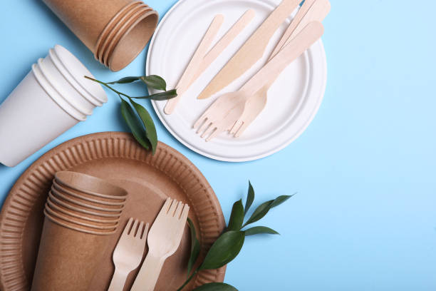 istock eco friendly dishes on a colored background top view. Eco-friendly disposable tableware. The concept of saving the planet, the rejection of plastic 1277500977