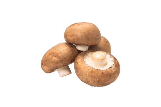 istock Tasty mushroom isolated on white background. 1277501781
