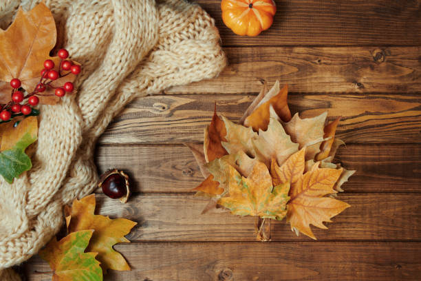 istock autumn background on wooden planks 1277501807