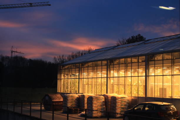 Greenhouse at the Evening