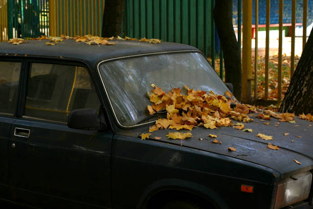 istock the old car is covered in autumn foliage 1277502224