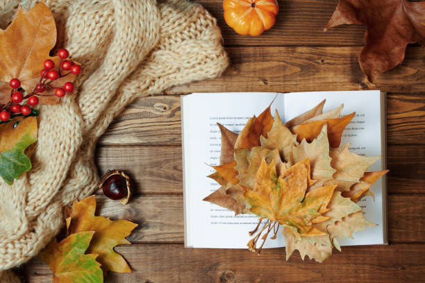 istock autumn background on wooden planks 1277505771